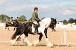 SBM_15744
