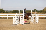 SBM_000190