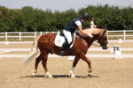 SBM_004323