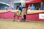 SBM_19779