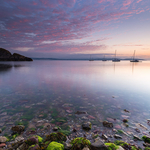 Early Morning Nr Brixham, Devon
