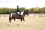 SBM_009819