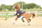 SBM_001161