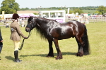 SBM_07165
