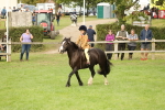 SBM_71551
