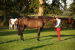 SBM_56896