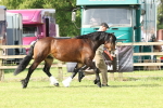 SBM_02065
