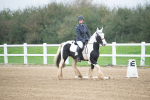 SBM_003378