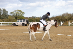 SBM_002673