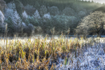 Frosty Start