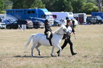 WJ6_7840