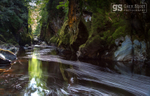 Early Autumn, Fairy Glen