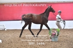 BPP_1444