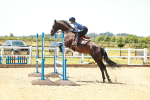 SBM_006015