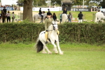 SBM_71564