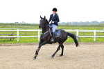 SBM_002004