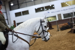SBM_003650