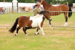SBM_04414