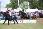 SBM_09943