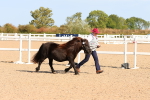 SBM_17683
