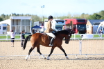 SBM_08731