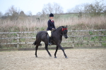 SBM_004711
