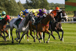 080624-Race 8-Resilience-5182