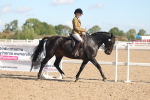 SBM_12443