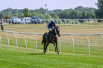 150726-Race 3-Lady Dublin-3176