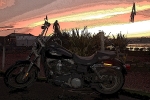 The Harbour Harley