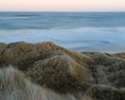 Ross Sands