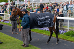150526-Race 4-Love A Giggle-2717