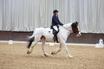 SBM_000437