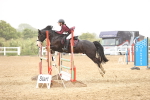 SBM_001710