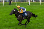 230823-Race 2-Indian Run-4137