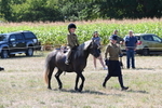 WJ6_7960