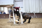 SBM_001785