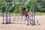 BPP_1308