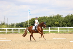 SBM_000645