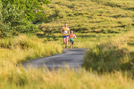 Tebay-234