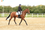 SBM_003591