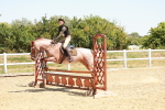 SBM_003683