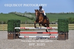 BPP_8185