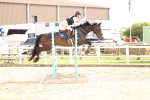 SBM_001676