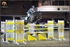 EQUISCOT 2426 greg taylor anuschka gold