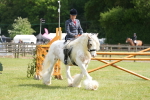 SBM_17180