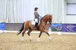 SBM_003785
