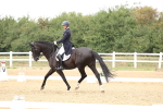 SBM_007608