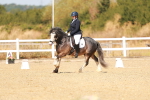SBM_017801
