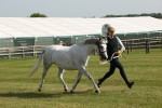 SBM_00750